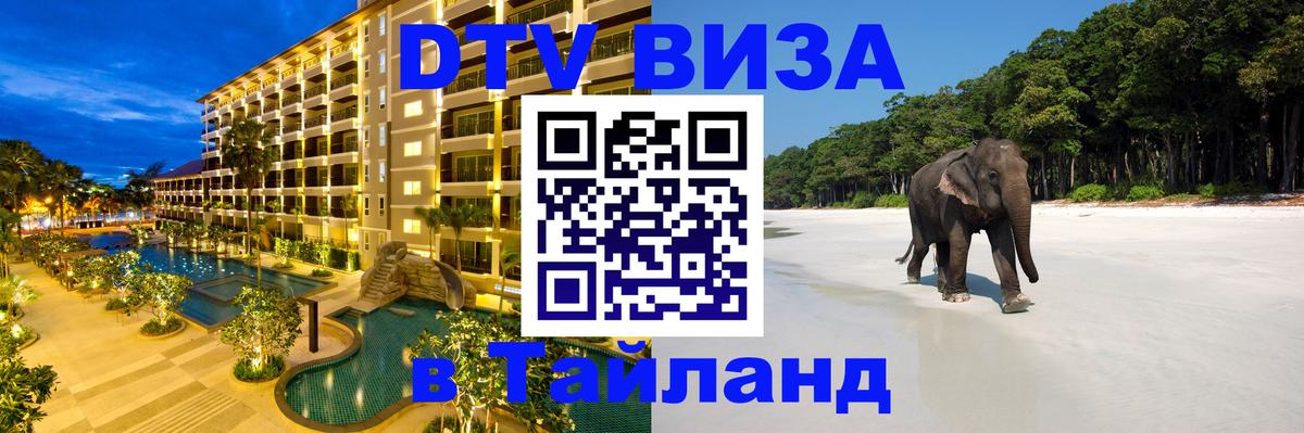 Оформление DTV визы под ключ: стоимость и тарифы, только загранпаспорт - 